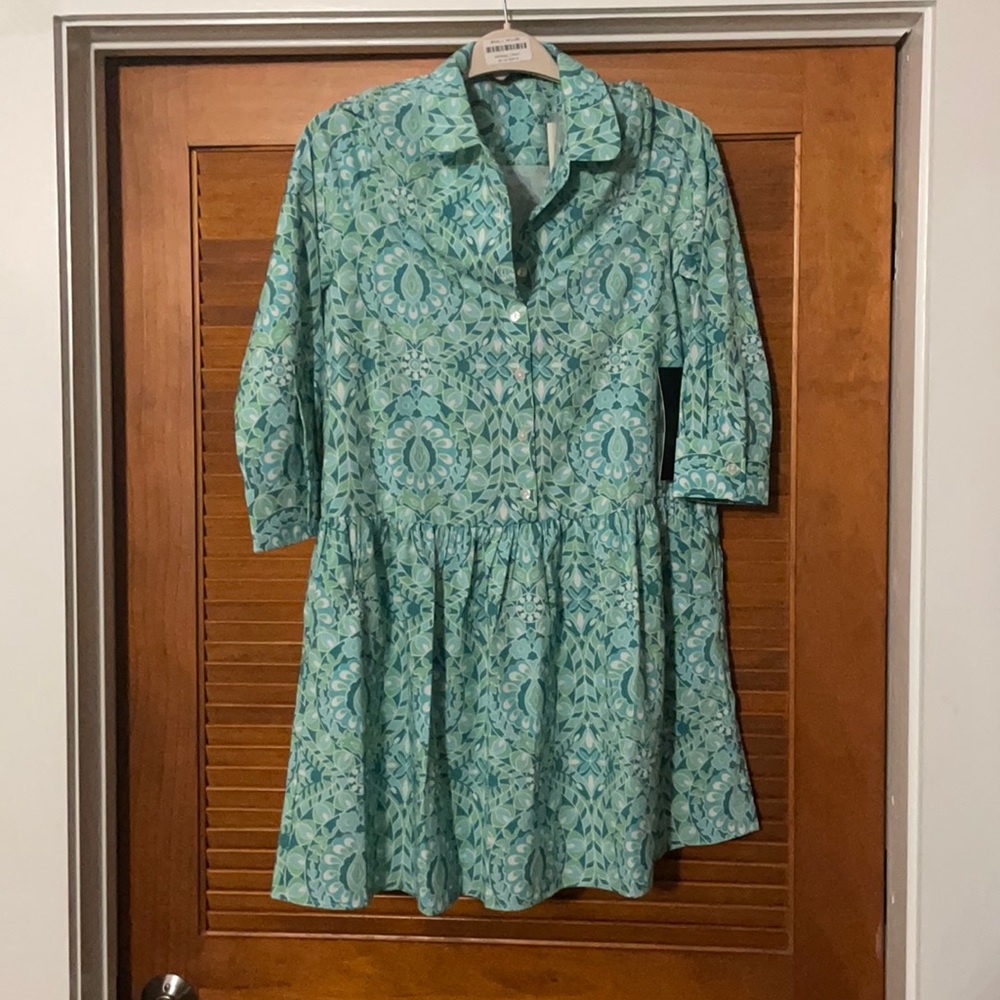 tuckernuck green dress in size small
